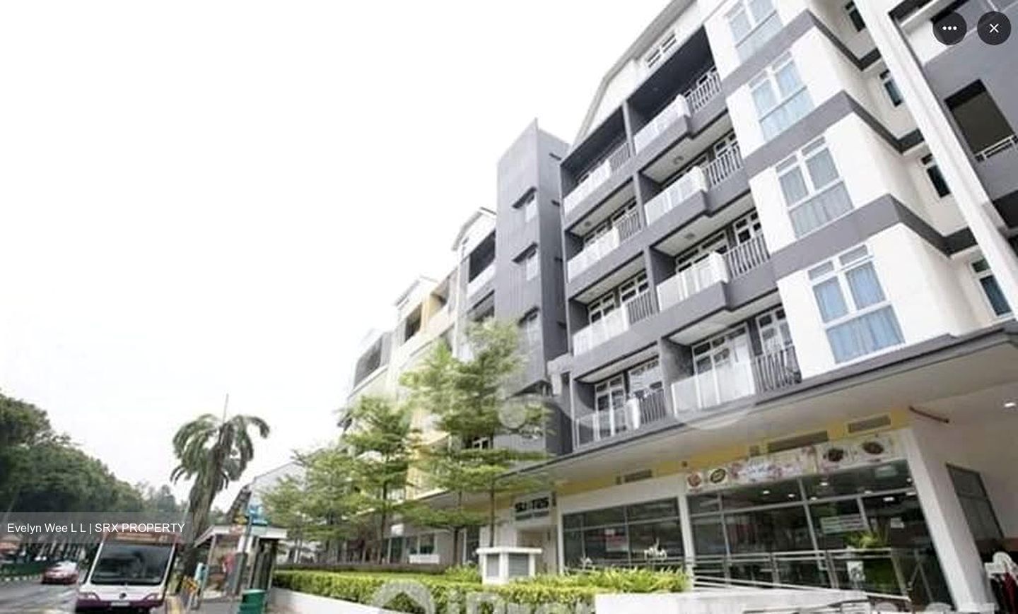 Suites @ Bukit Timah (D21), Retail #573495821